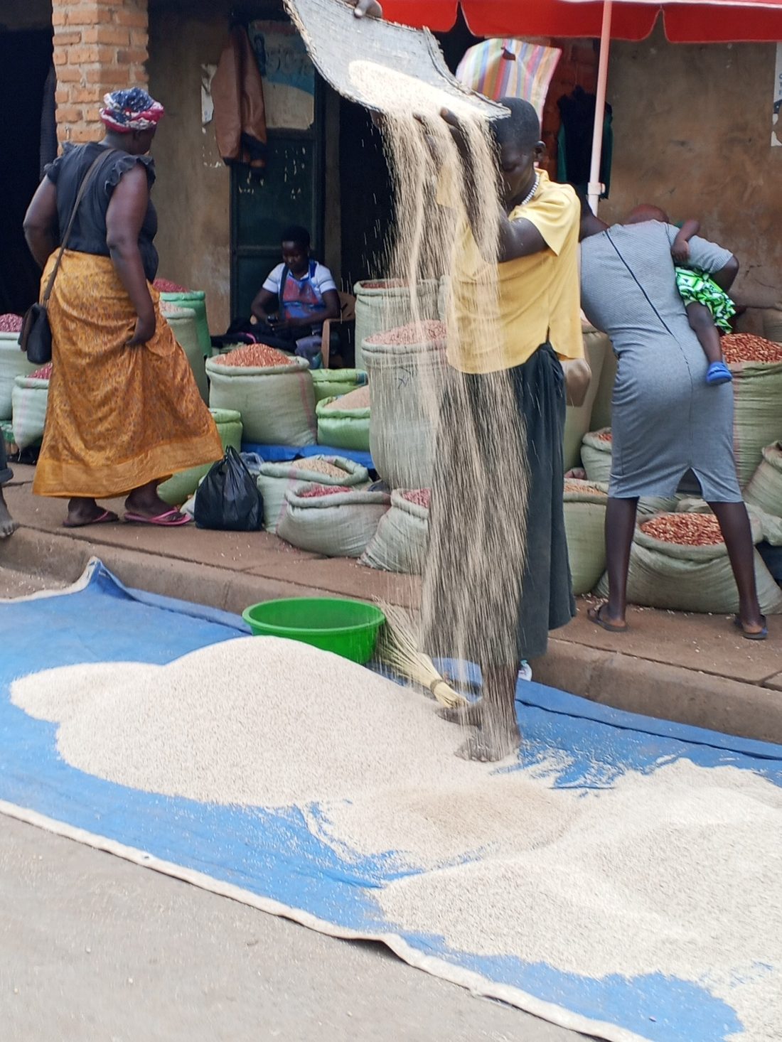 Sesame being sifted and cleaned at a market aggregation point in Uganda
